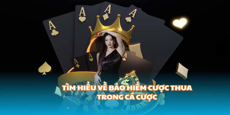 Giới thiệu tổng quan về chính sách bảo hiểm thua cược