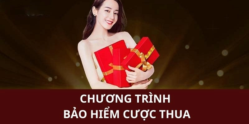 Thông tin chi tiết về điều khoản và điều kiện của chính sách bảo hiểm