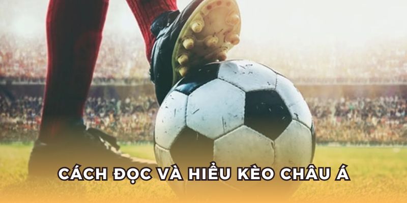 Cách đọc hiểu kèo Châu Á.