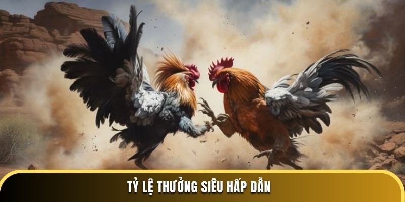 Tỷ lệ thưởng siêu hấp dẫn